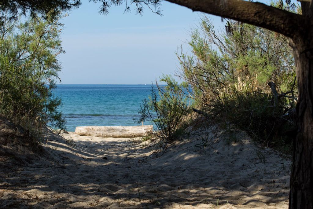 Trekking, Bike e Parchi Naturali in Toscana - Immobiliare Marina Salivoli