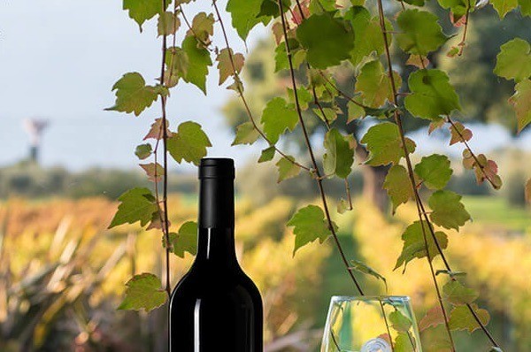 Case in Vendita vicino a Bolgheri - Immobiliare M